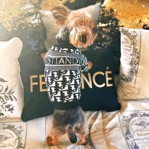 🔸️🐶Dog CHD Print Sweater | ⚠️Size: Small ONLY⚠️